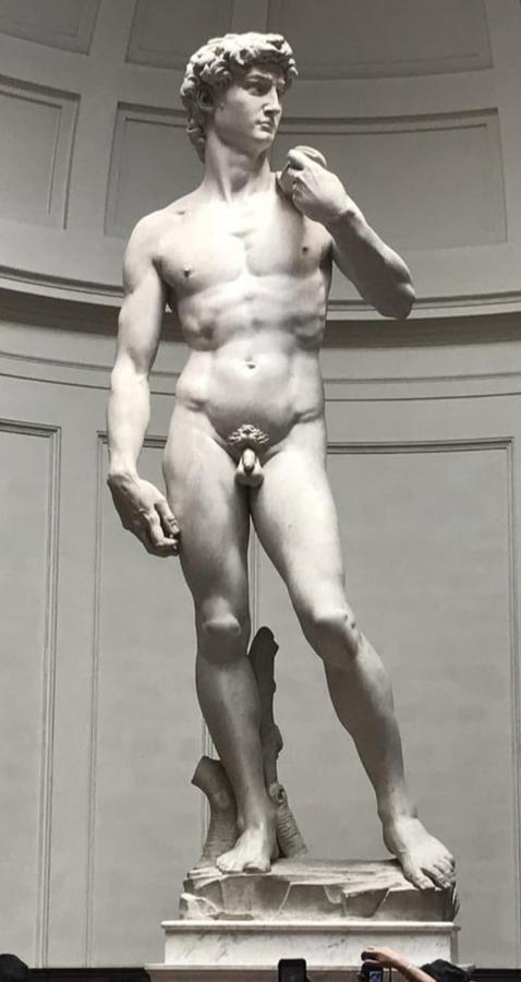 Dependace Il David Di Michelangelo Lejlighed Firenze Eksteriør billede